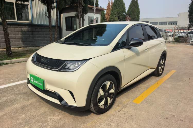 Used BYD Dolphin 2025 420km Free Edition
