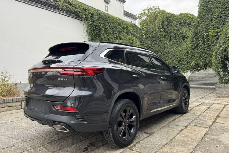 Used EXEED TX 2021 1.6T Two-Wheel Drive Superpower No. 3