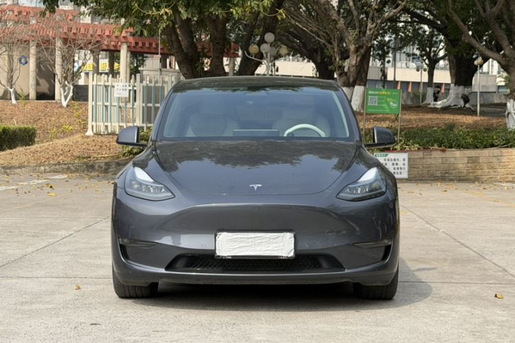 Used Tesla Model Y 2021 Long-Range All-Wheel-Drive Version