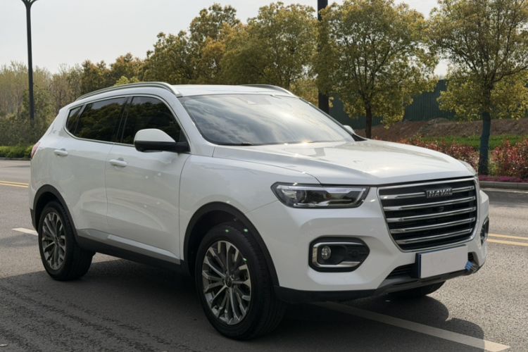 Used Haval H6 2020 1.5 GDIT Automatic Platinum Luxury Edition