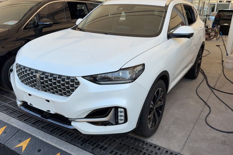 Used Wey VV6 2021 2.0T Two-Wheel Drive Smart Protection+