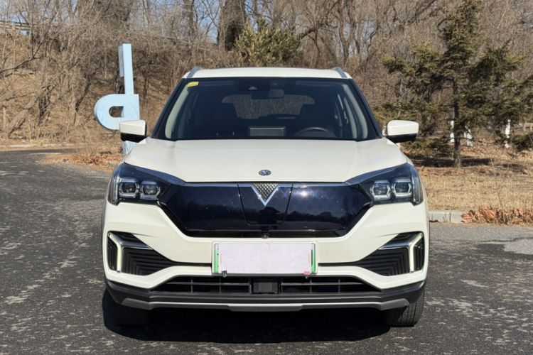 Used Venucia T60EV 2020 AI Flagship Model
