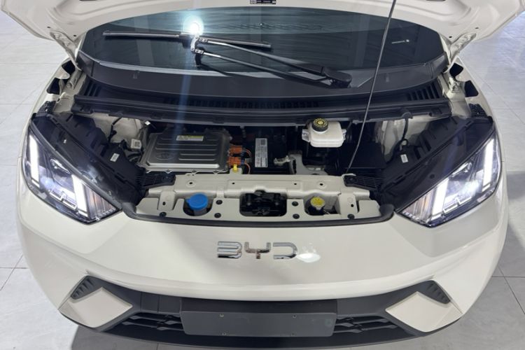 Used BYD Seagull 2025 305 km Free Version