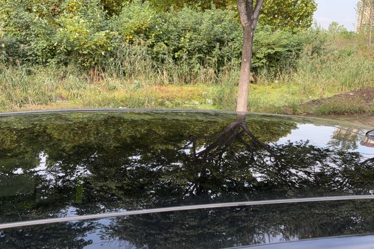 Used FORTHING Friday 2023 430 Pro
