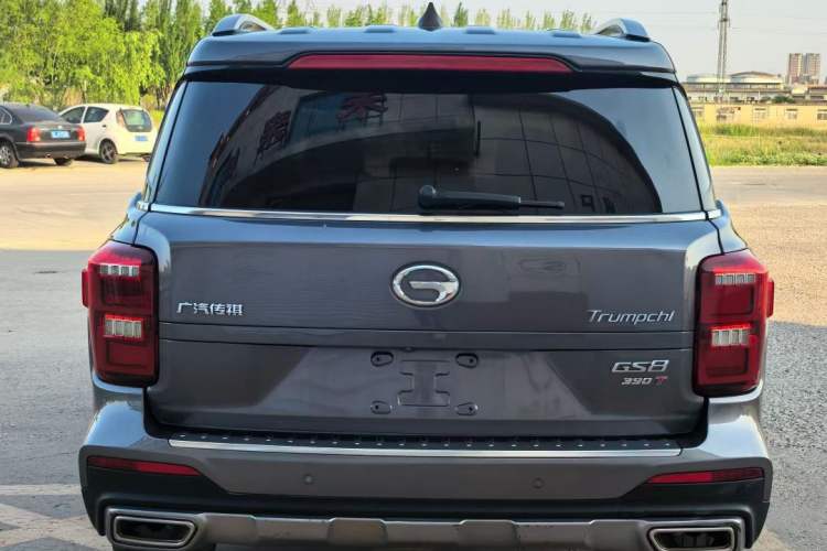 Used GAC Trumpchi GS8 2020 390T Two-Wheel Drive Luxury Smart Connectivity Version (7 Seats)
