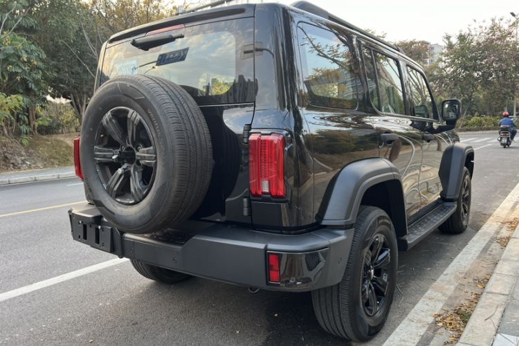 Used Tank 300 2025 2.4T Diesel Version
