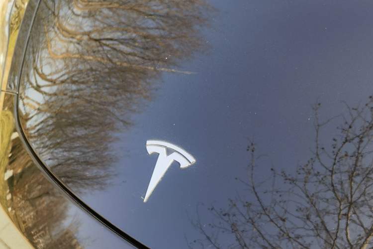 Used Tesla Model Y 2021 Standard Range Rear-Wheel Drive Version
