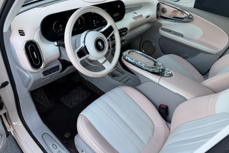 Used ORA Ballet Cat 2022 401 km Nutcracker Edition