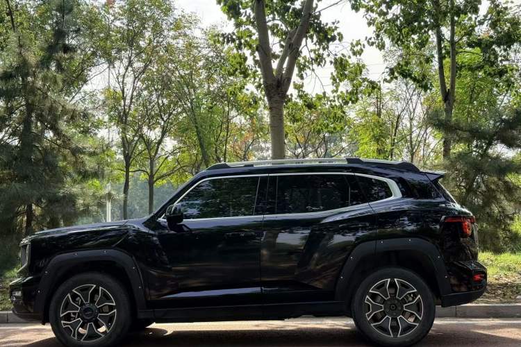 Used Haval H Dog New Energy 2024 Hi4 102km Trend Electric Version Plus Exterior 3