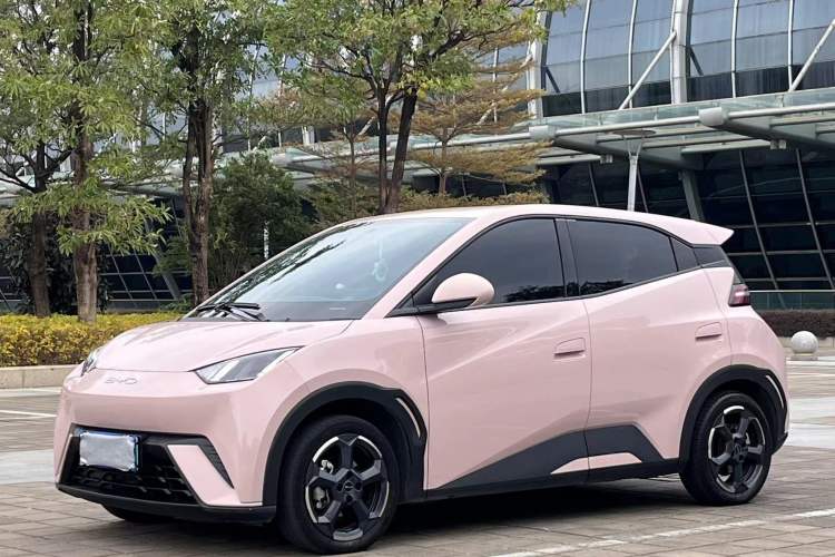 Used BYD Seagull 2023 Flying Edition