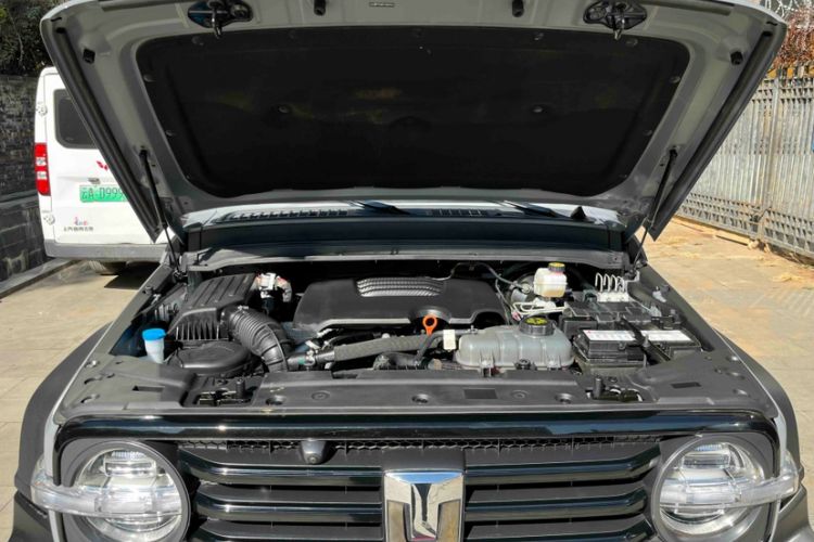 Used Tank 300 2024 2.0T Challenger
