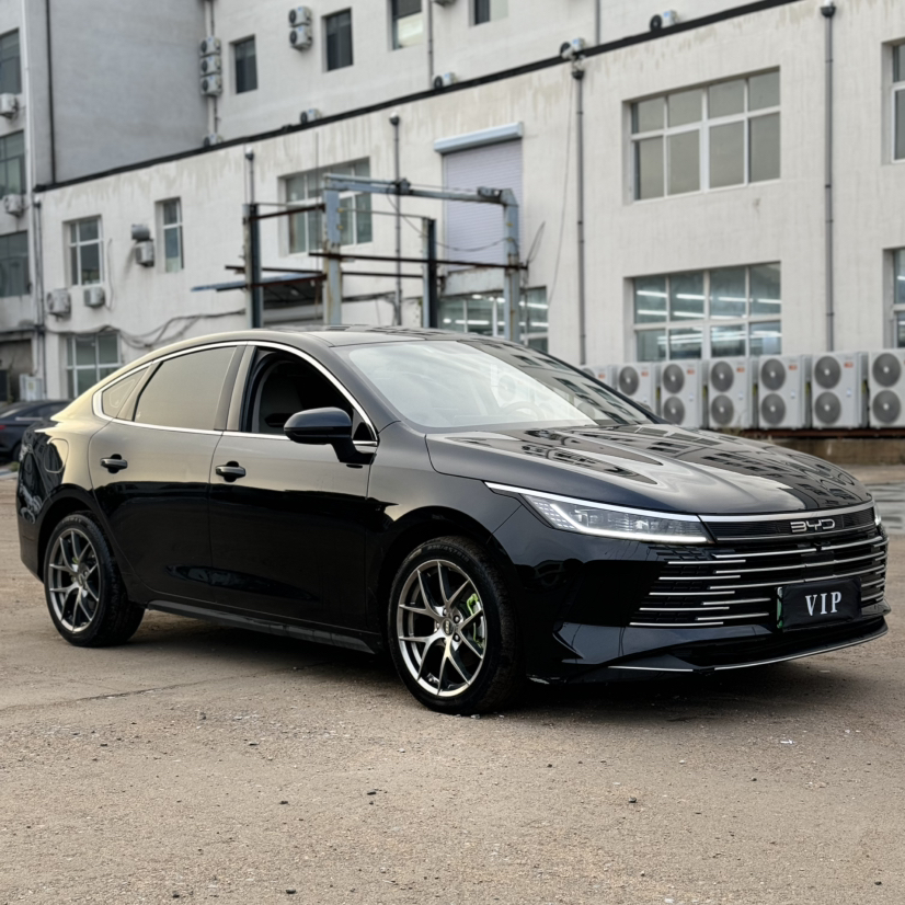 BYD Destroyer 05 2024 HONOR Edition DM-i 55KM Luxury Model — снимка 4