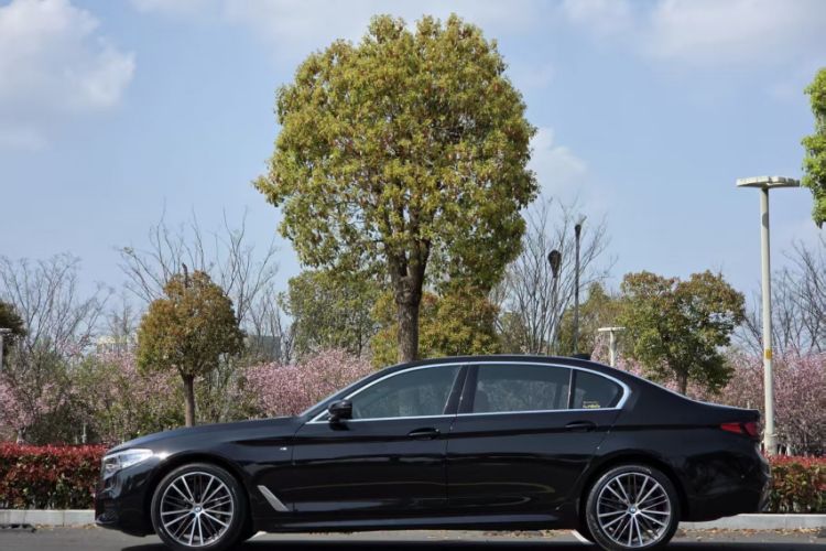 Used BMW 5 Series 2020 530Li Leading Model M Sport Package Exterior 6