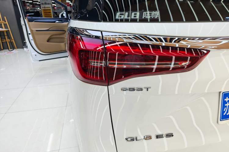 Used Buick GL8 2021 ES Landtrek 653T Luxury Model Exterior 7