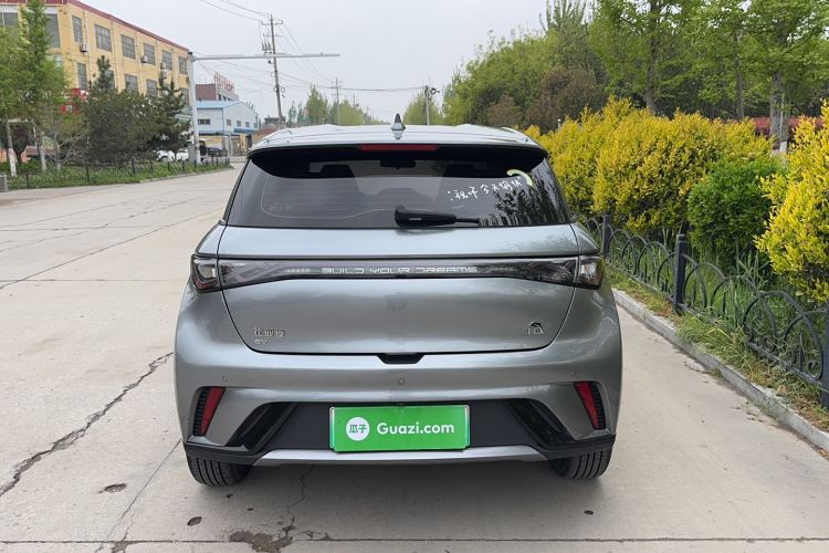 Used BYD Dolphin 2023 420 km Free Version Rear