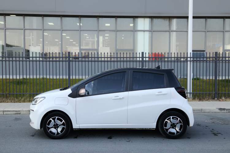 Used SOL E10X 2022 Flower Fairy Style Baby's Breath