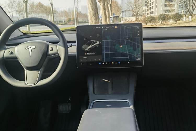 Used Tesla Model Y 2021 Standard Range Rear-Wheel Drive Version
