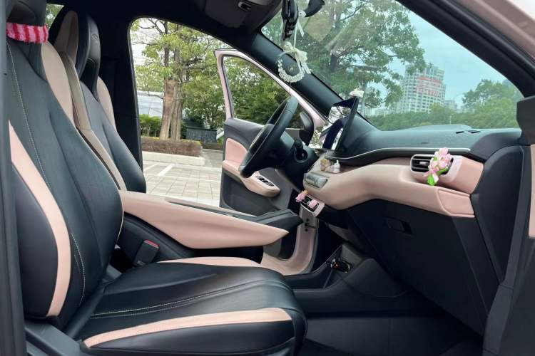 Used BYD Seagull 2023 Flying Edition Right Front Seat