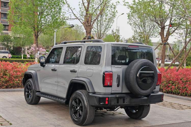 Used Tank 300 2024 2.0T Conqueror
