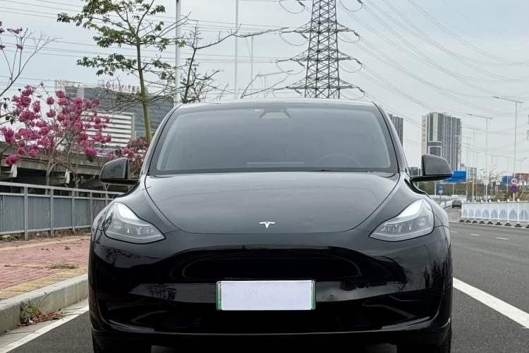 Used Tesla Model Y 2022 Rear-Wheel-Drive Version
