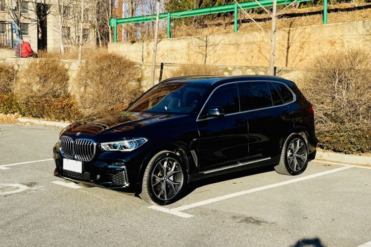 Used BMW X5 2022 xDrive 40Li M Sport Package