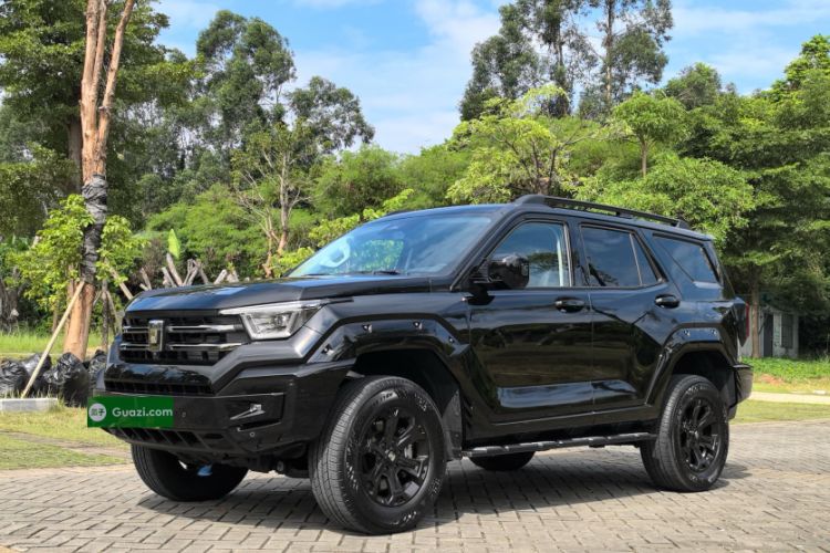 Used Tank 400 2025 2.0T Gasoline Version