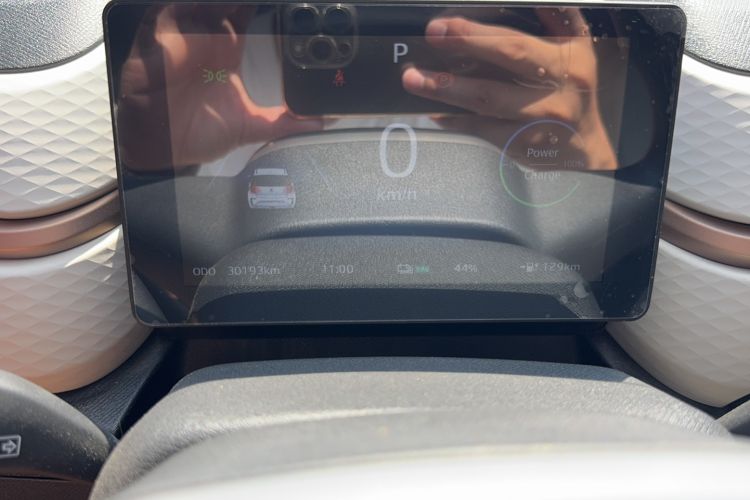 Used SOL E10X 2022 Flower Fairy Design Four-Leaf Clover