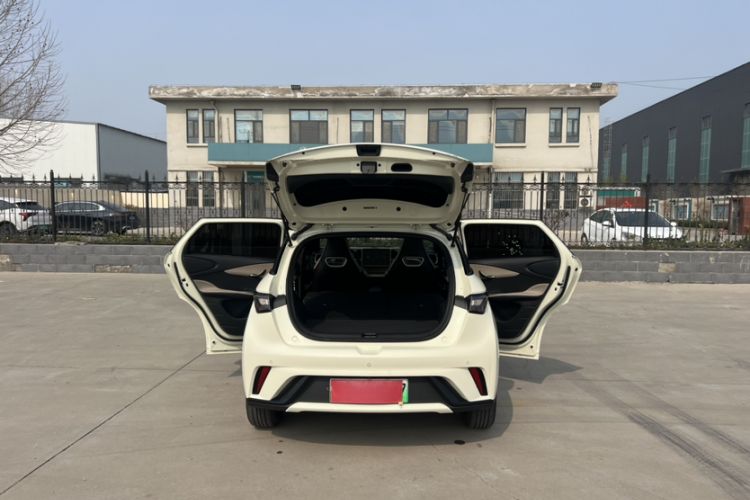 Used BYD Dolphin 2024 Honor Edition 420km Fashion Version