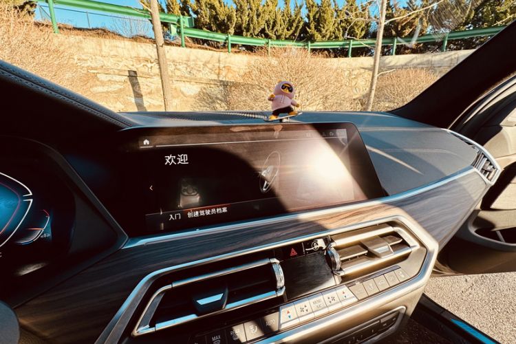 Used BMW X5 2022 xDrive 40Li M Sport Package
