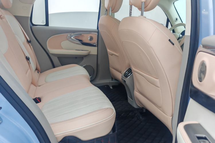 Used ORA Ballet Cat 2022 500 km Swan Lake Edition
