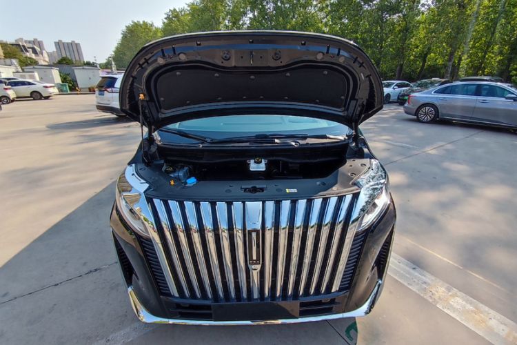 Used Wey Gaoshan 2023 Four-Wheel-Drive Executive Extended Version
