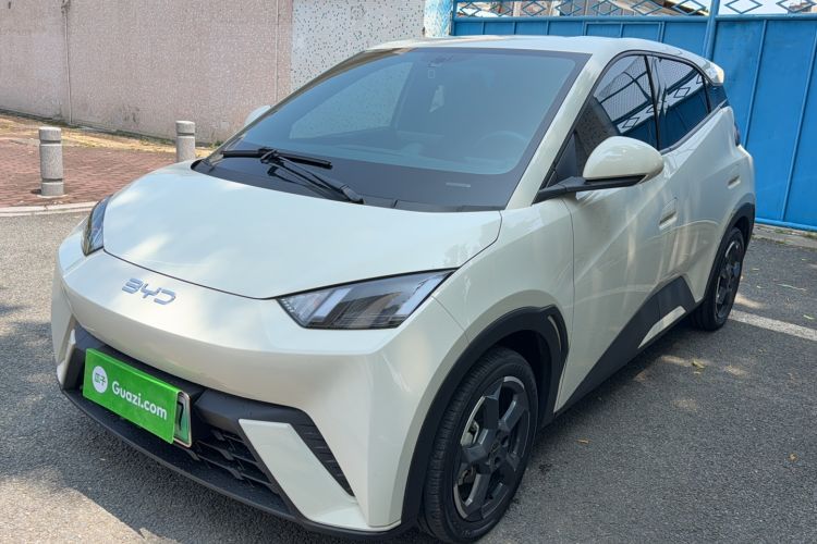 Used BYD Seagull 2024 Honor Edition 305km Freedom Version