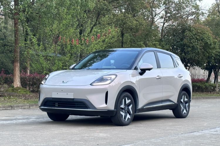 Used Wuling Bingo S 2025 Model 430km Flagship Edition