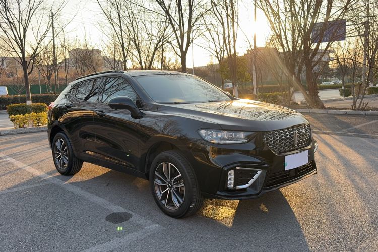 Used Wey VV5 2021 1.5T Two-Wheel Drive Smart Pioneer