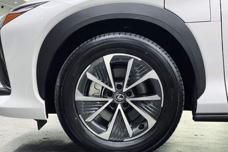 Used Lexus RZ 2023 450e All-Wheel Drive Luxury Edition Exterior 10