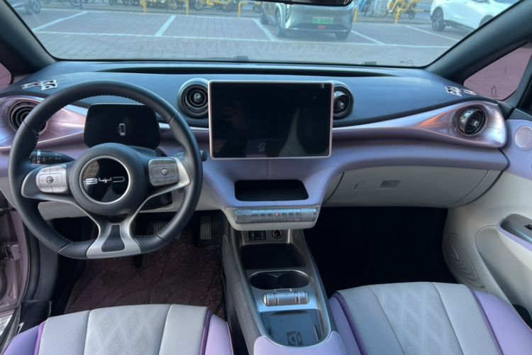 Used BYD Dolphin 2023 401km Knight Edition Interior 2