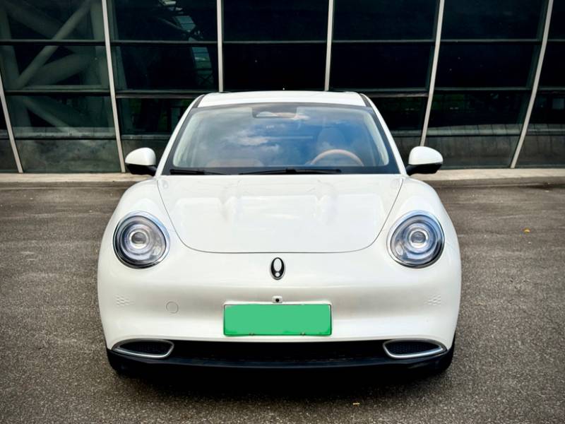 Used ORA Good Cat 2024 401 km Luxury Version — 11