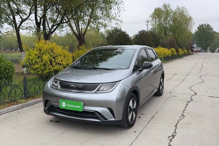 Used BYD Dolphin 2023 420 km Free Version