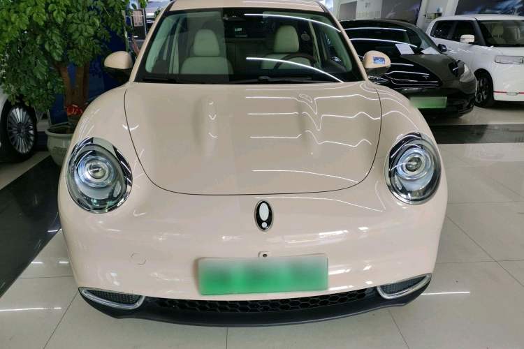 Used ORA Good Cat 2023 401 km Standard Range Luxury Version Lithium Iron Phosphate
