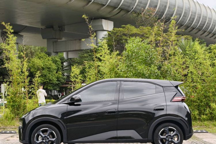 Used BYD Seagull 2023 Free Edition
