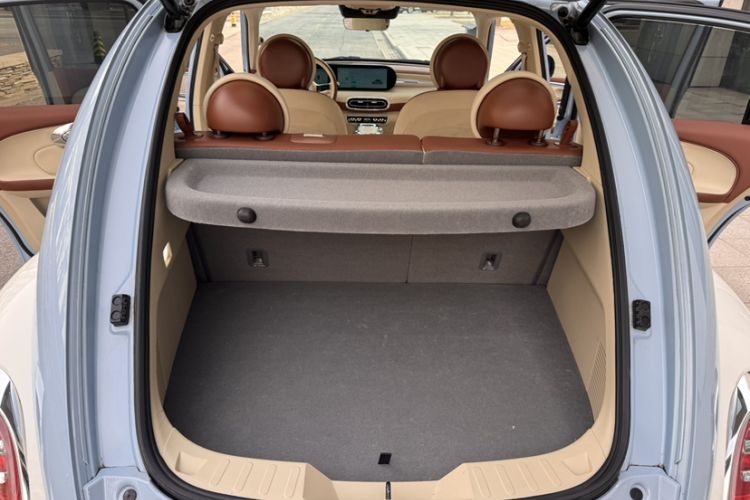 Used ORA Ballet Cat 2023 401 km Luxury Version
