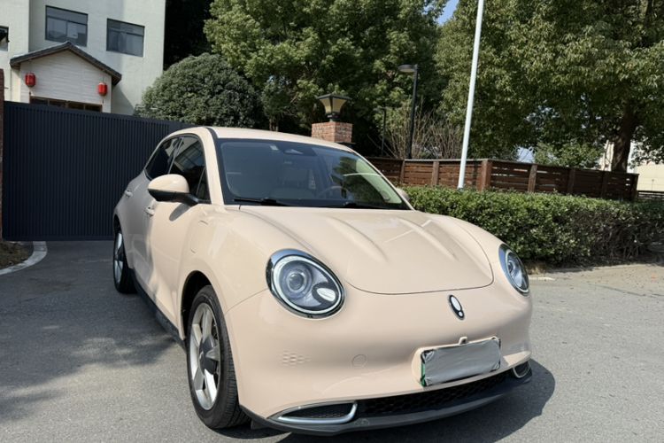 Used ORA Good Cat 2022 Morandi Edition 400km Standard Range Two-Week Young Enjoyment Version Lithium Iron Phosphate
