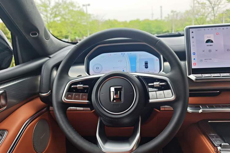 Used Tank 700 New Energy 2024 Hi4-T Extreme Edition Steering Wheel