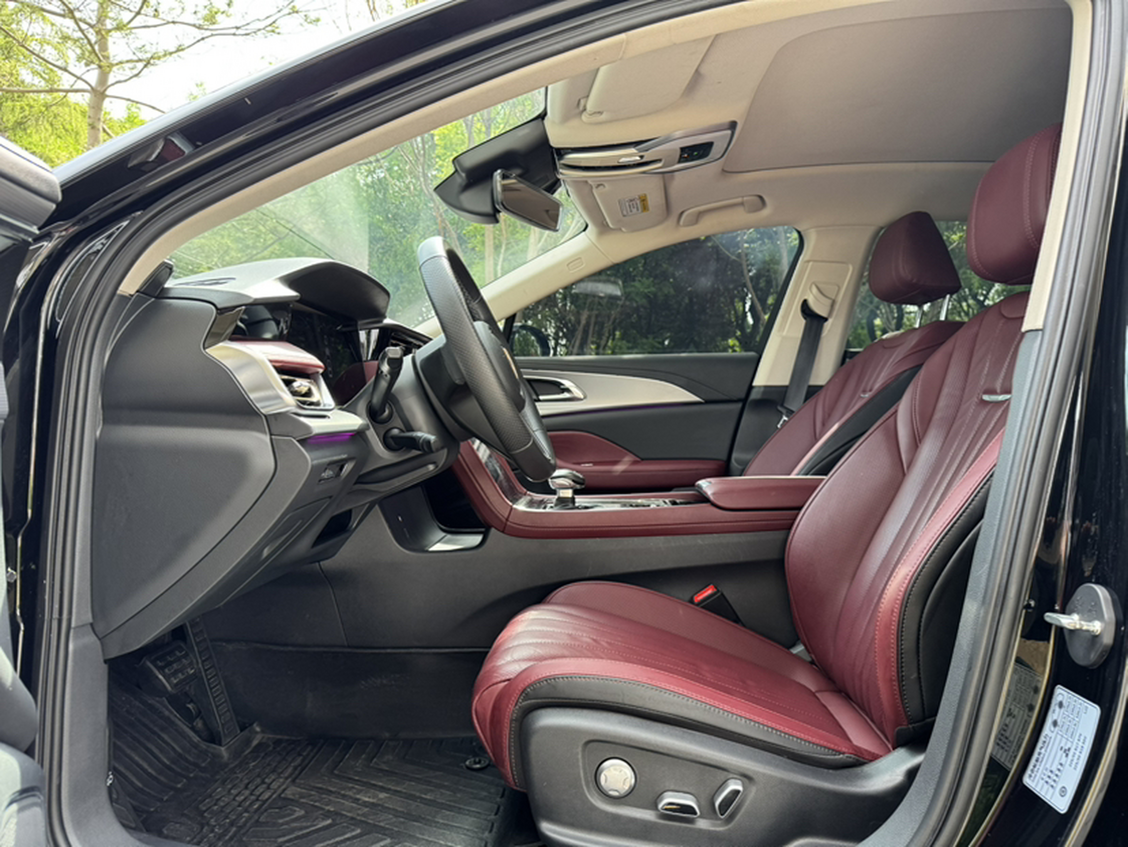 Interior delantero