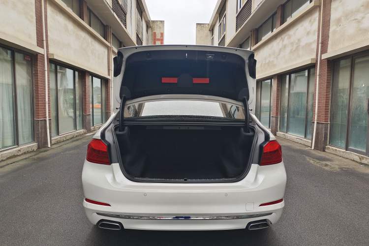 Used BMW 5 Series 2020 530Li Leading Edition Luxury Package