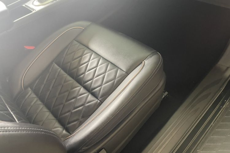 Used Great Wall Poer 2021 2.0T Global Version Passenger Automatic Diesel Two-Wheel Drive Comfort Trim Standard Cab GW4D20M