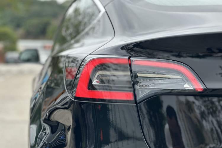 Used Tesla Model 3 2019 Long-Range Rear-Wheel-Drive Version Exterior 8