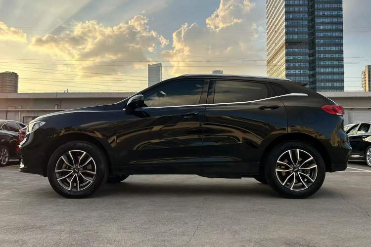 Used Wey VV5 2020 1.5T Two-Wheel Drive Color Pioneer