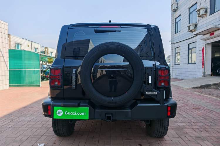 Used Tank 300 2024 2.0T Conqueror