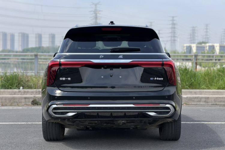 Used Hongqi E-HS9 2021 460 km Range Flagship Edition Six-Seater Exterior 1